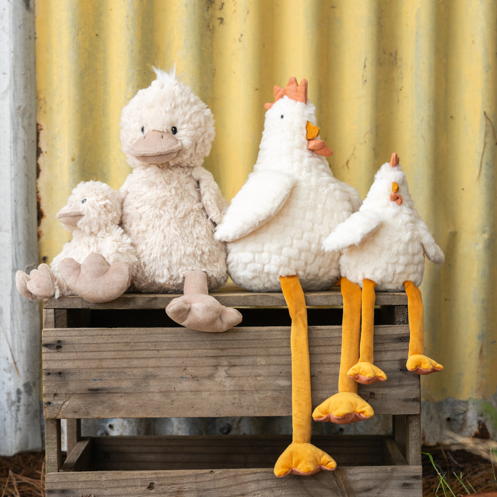 Meet our Farm Friends