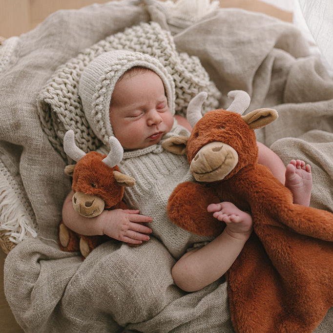 Comfort Toys - The Back Up