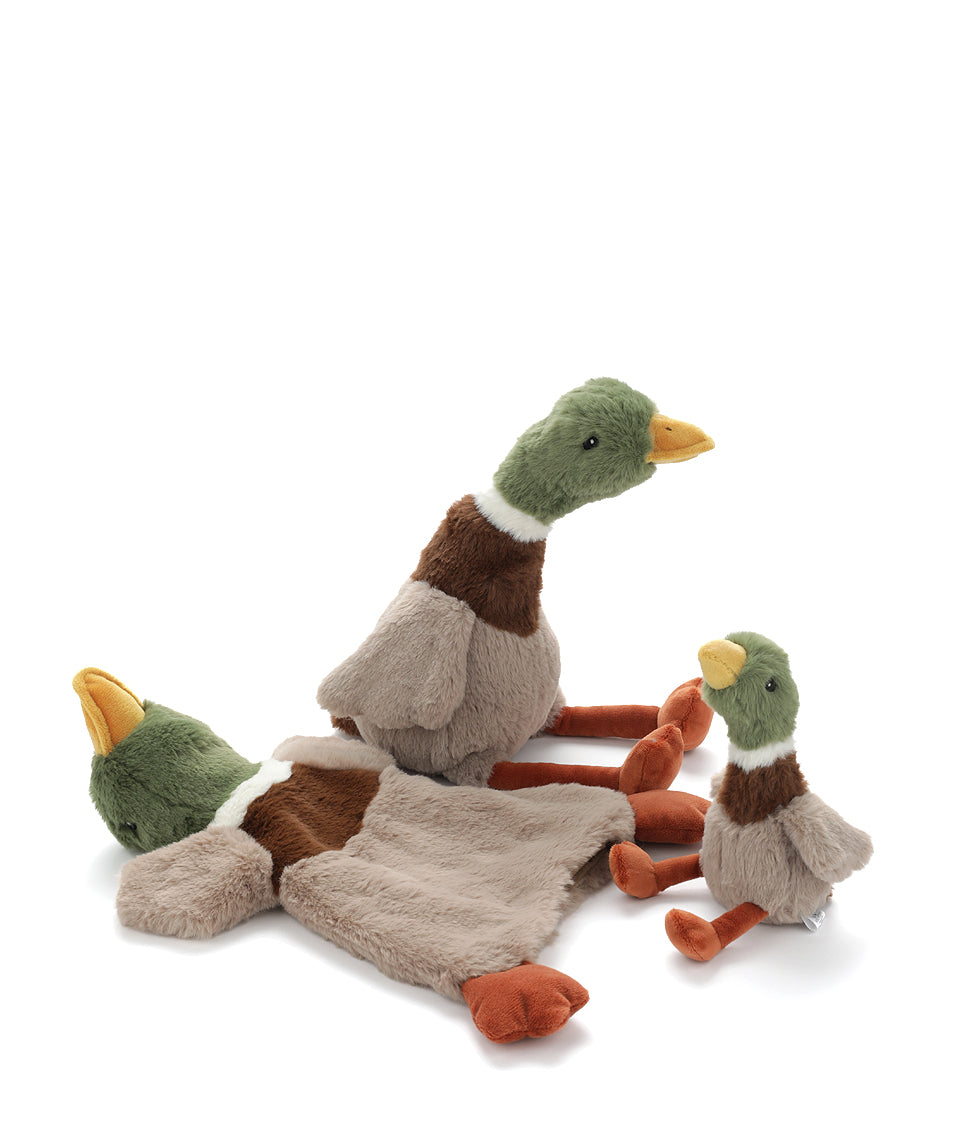 A grow set of Hugo the Duck - Nana Huchy