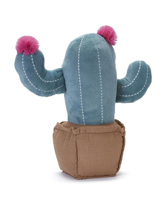 Blooming Cactus - Nana Huchy