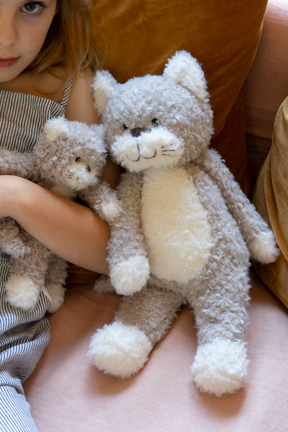 Checkers the Kitten Grey - NanaHuchy