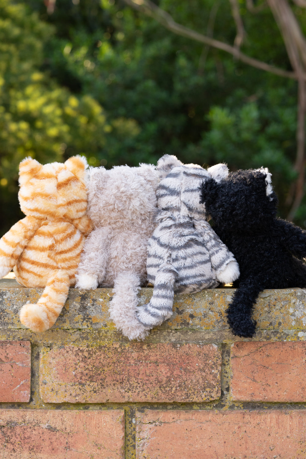 Ciao Meow Kitten Bundle - Nana Huchy