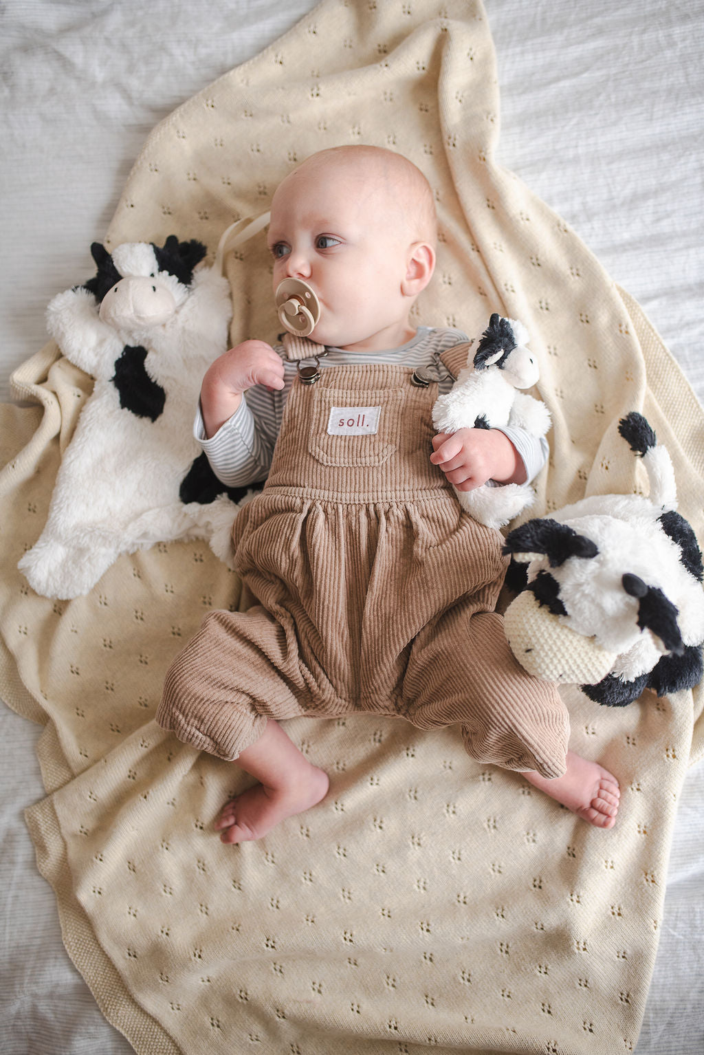 Clover the Cow Hoochy Coochie - Black - NanaHuchy