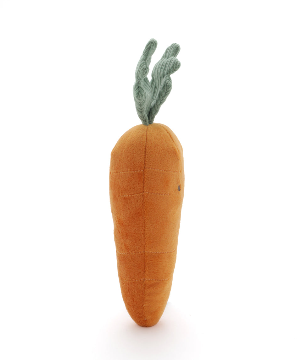 Curtis Carrot - The Caring Friend - NanaHuchy
