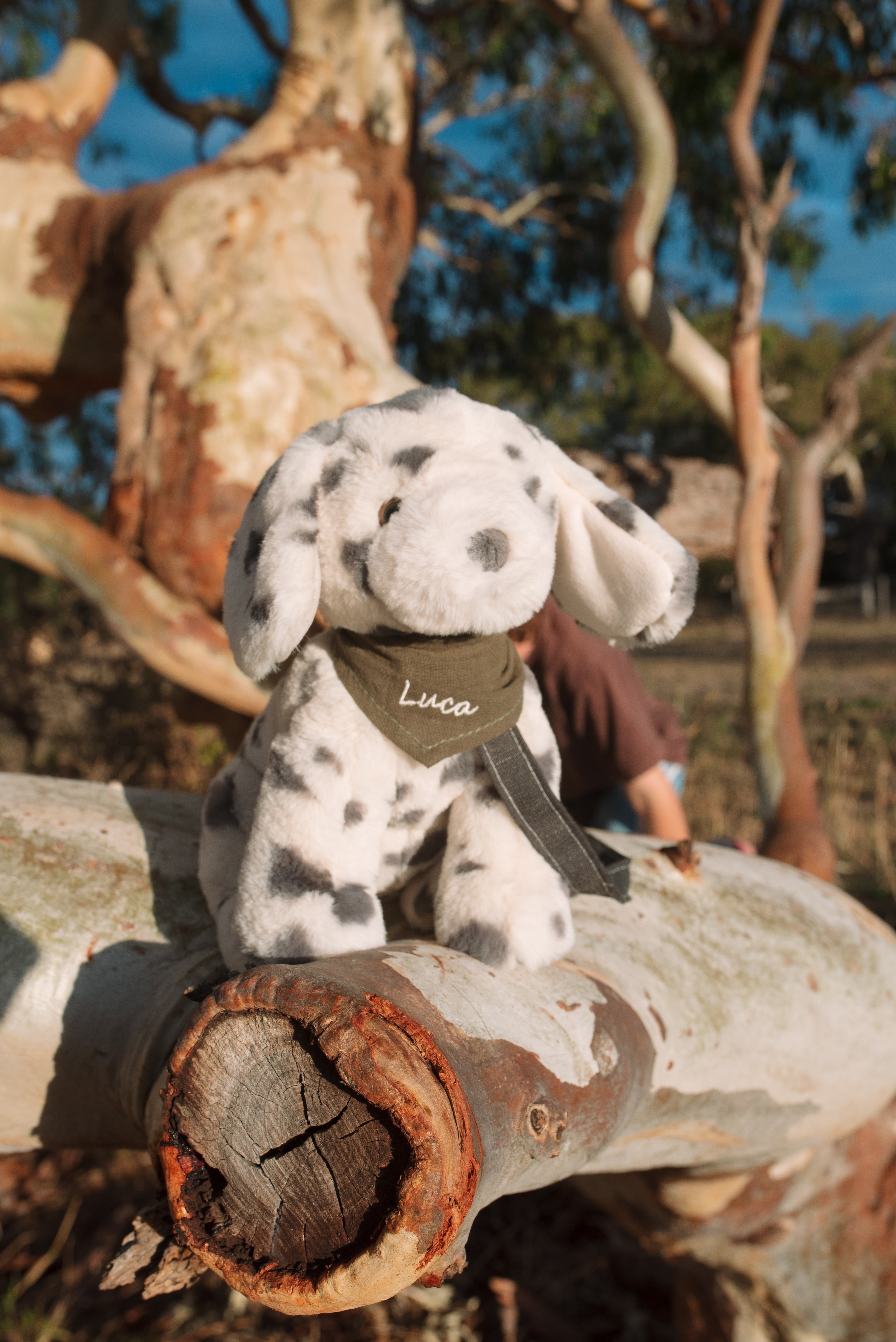 Debbie the Dalmation - NanaHuchy