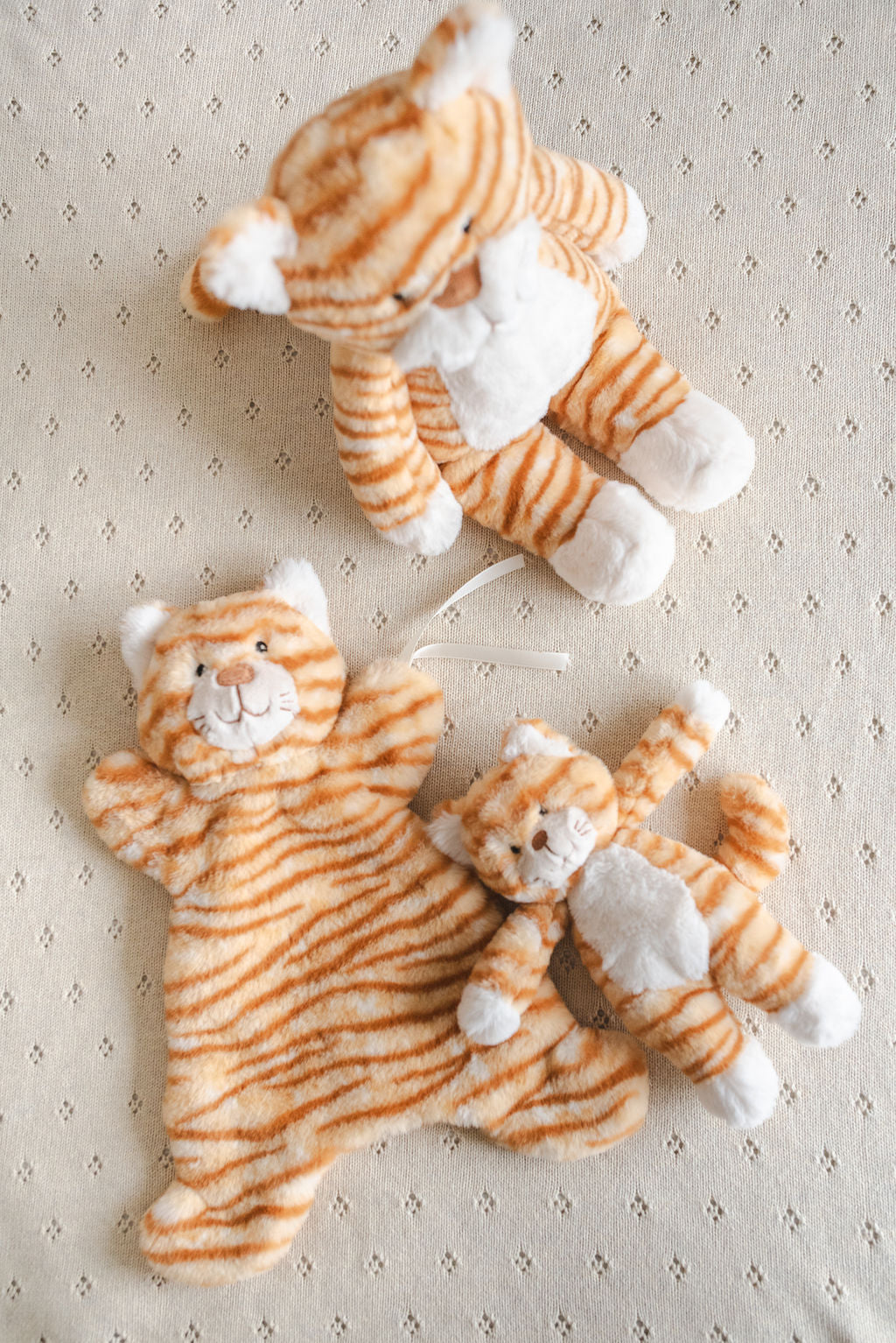 Forever Friend Cat Set - Ginger - Nana Huchy