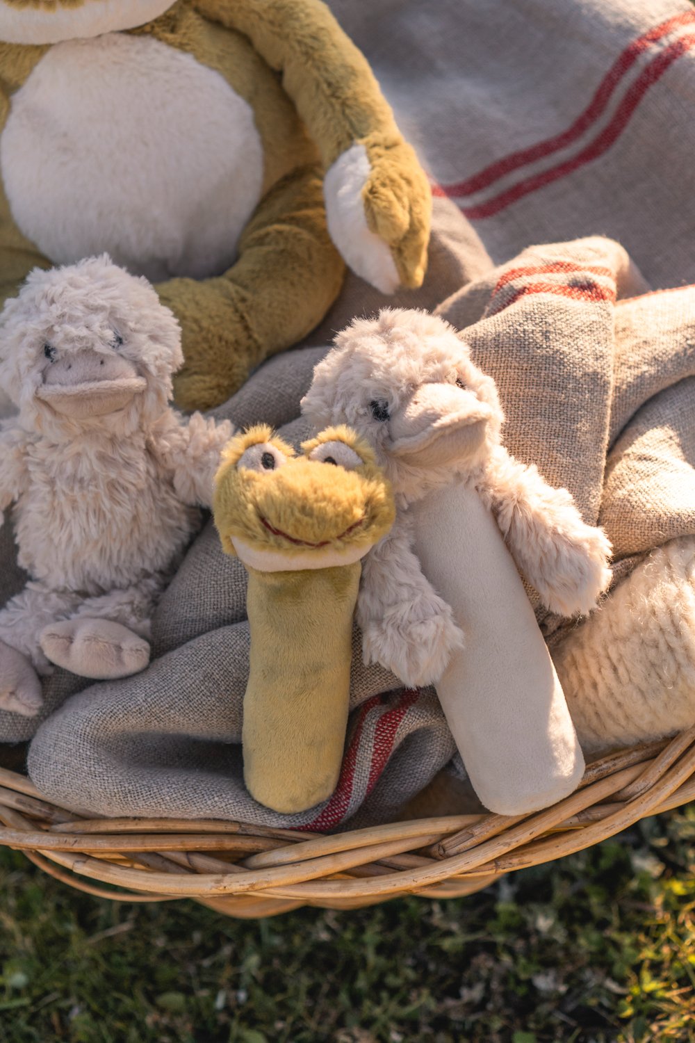 Frank The Frog Rattle - Nana Huchy