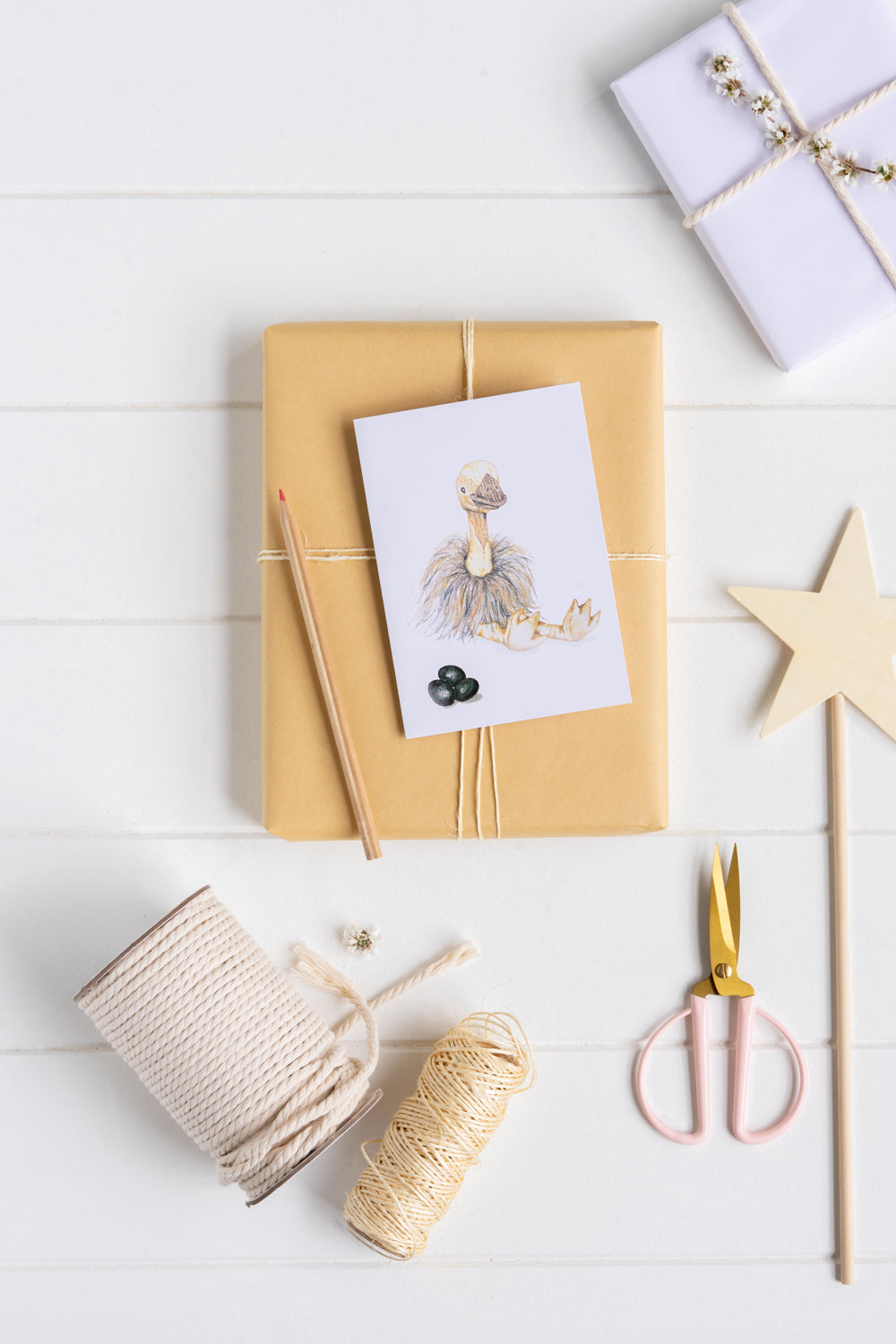 Gift Card - Eddie Emu - Nana Huchy