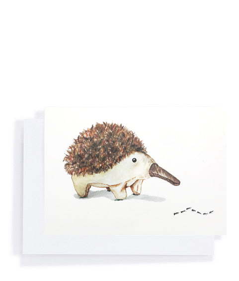 Gift Card - Spike the Echidna - Nana Huchy