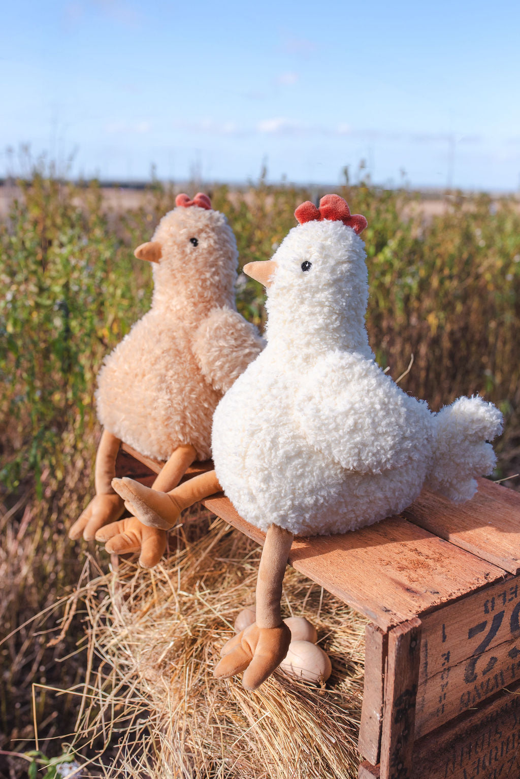 Harriette & Henrietta the Hens Set - Nana Huchy
