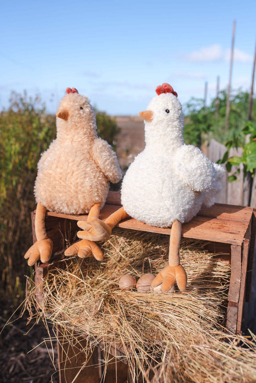 Harriette & Henrietta the Hens Set - Nana Huchy