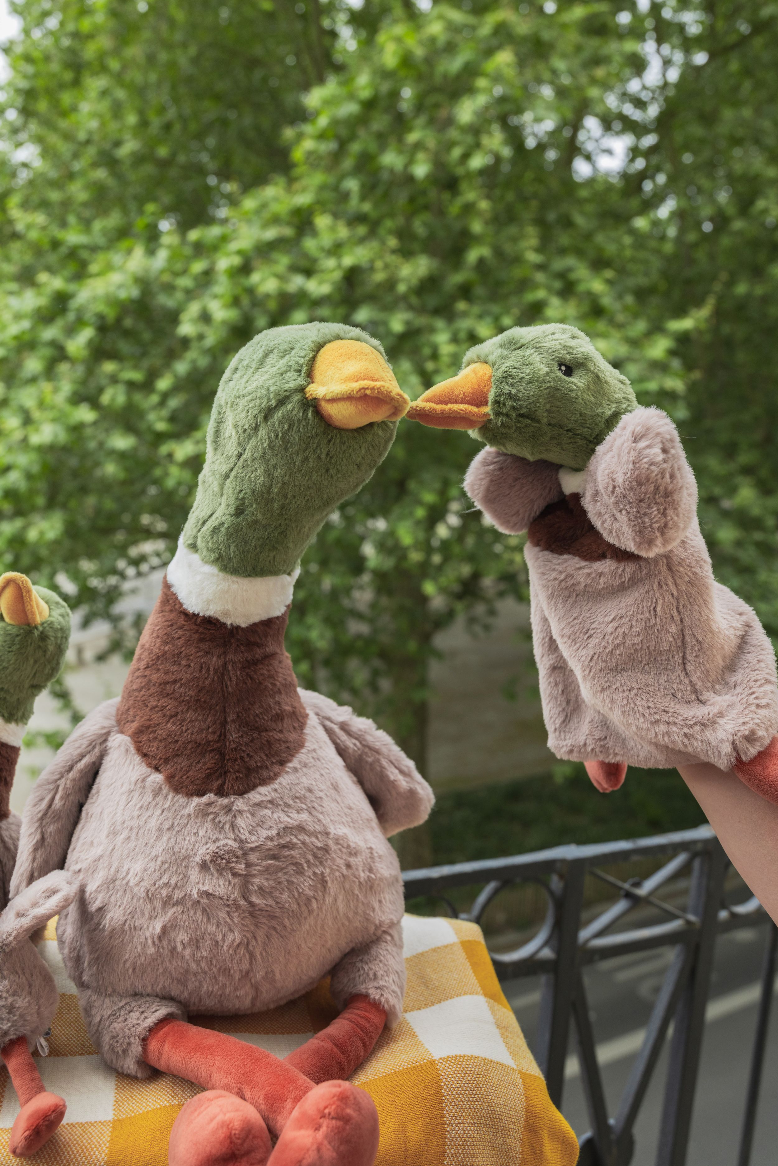 Hugo the Mallard Duck Hoochy Coochie - NanaHuchy