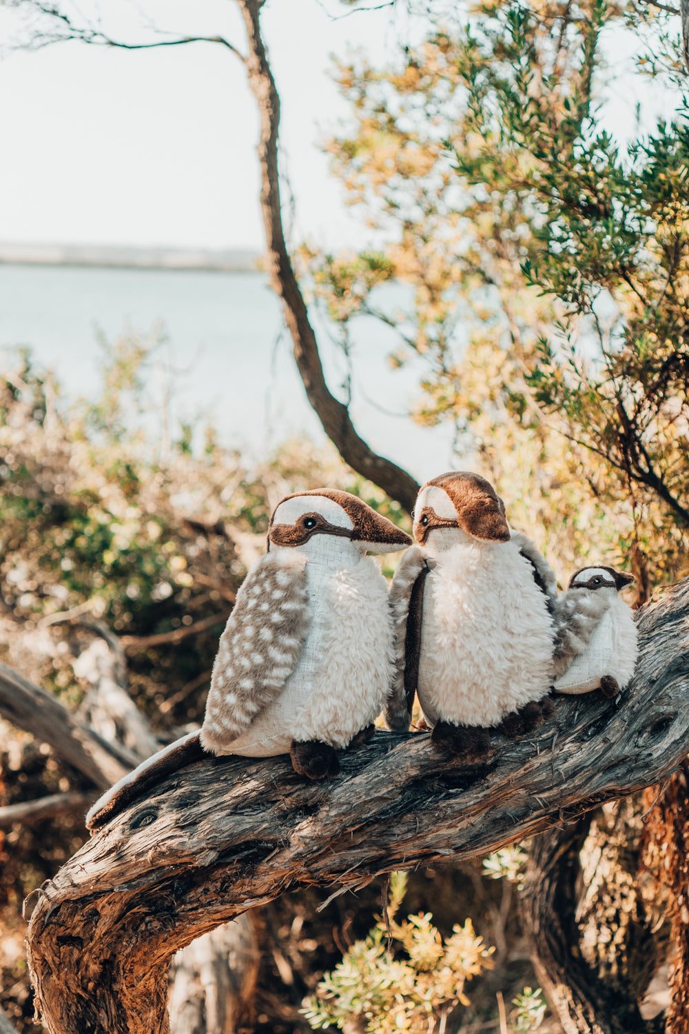 Ken the Kookaburra Set - Nana Huchy