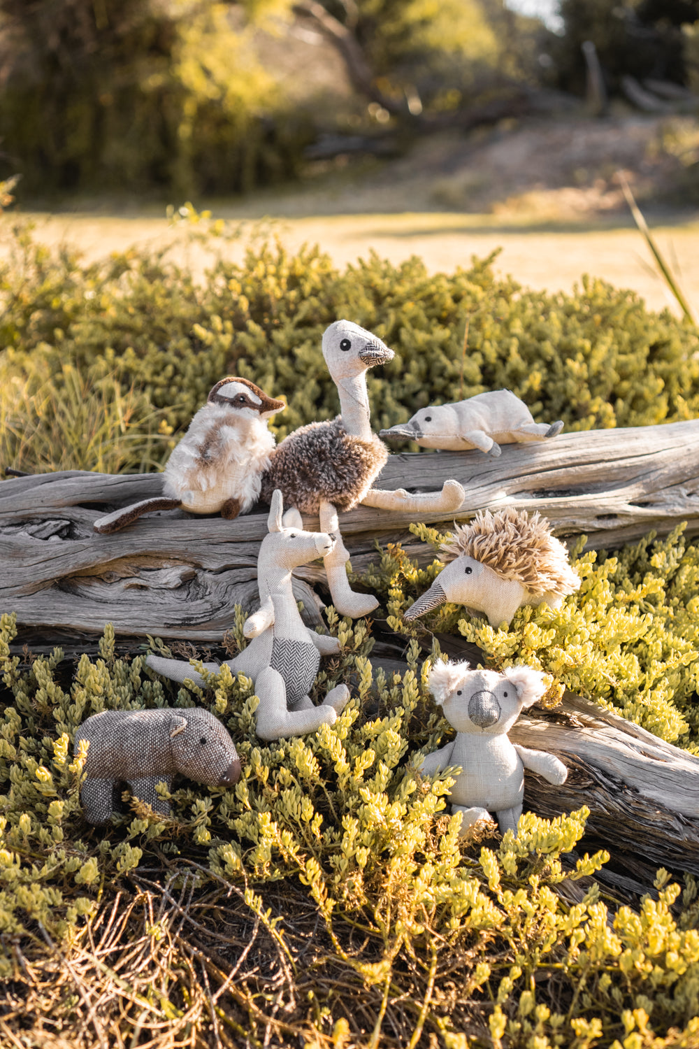 Mini Kylie Kangaroo Rattle - Nana Huchy