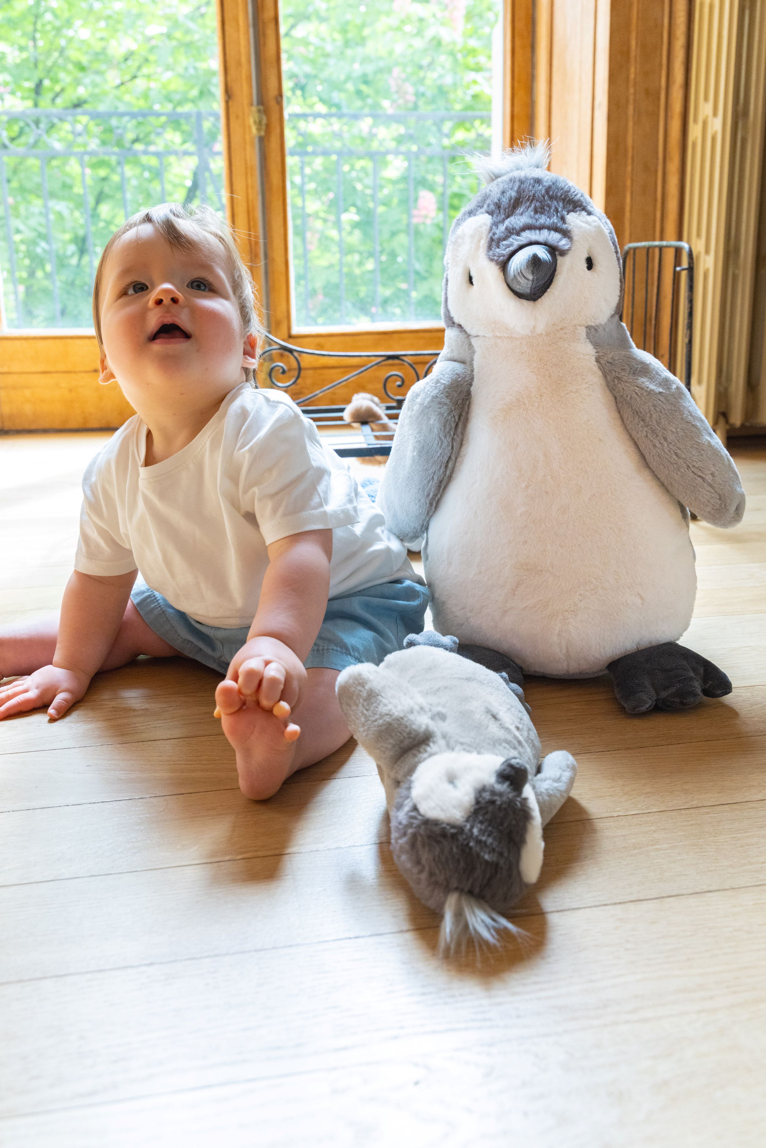 Paulo the Penguin - NanaHuchy