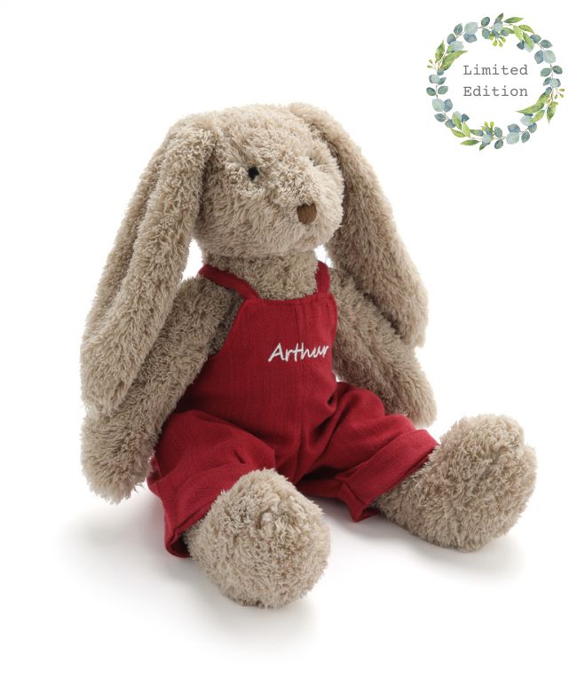 Personalised Mr Honey Bunny - Red - Nana Huchy