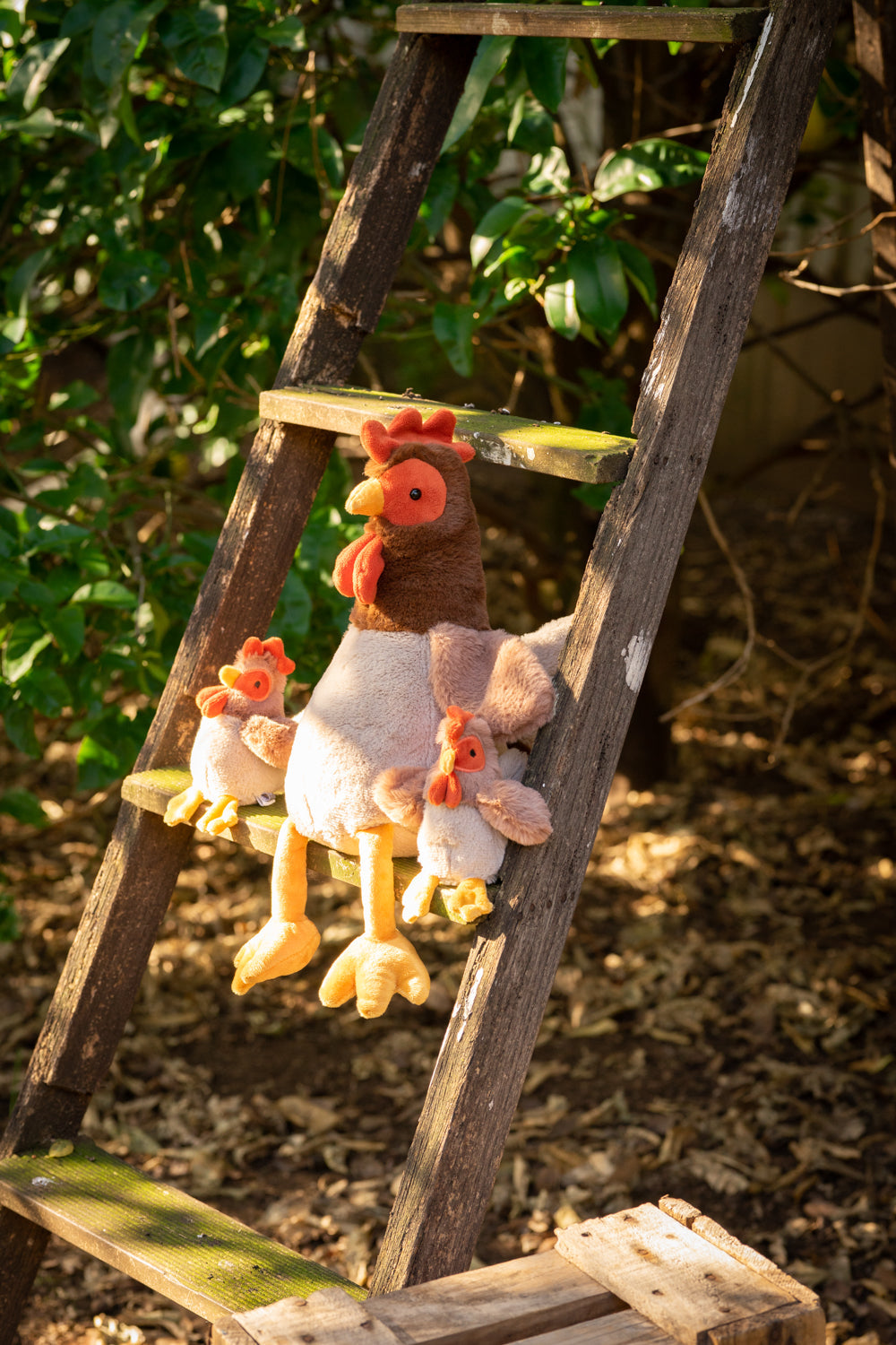 Randy the Rooster - Nana Huchy