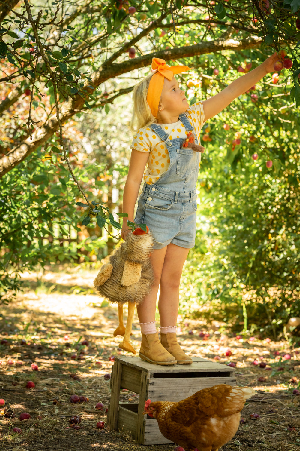 Rupert the Rooster - Nana Huchy