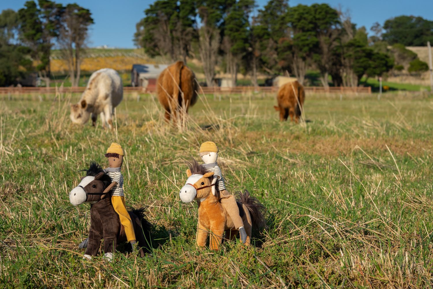 The Brothers Set - Nana Huchy