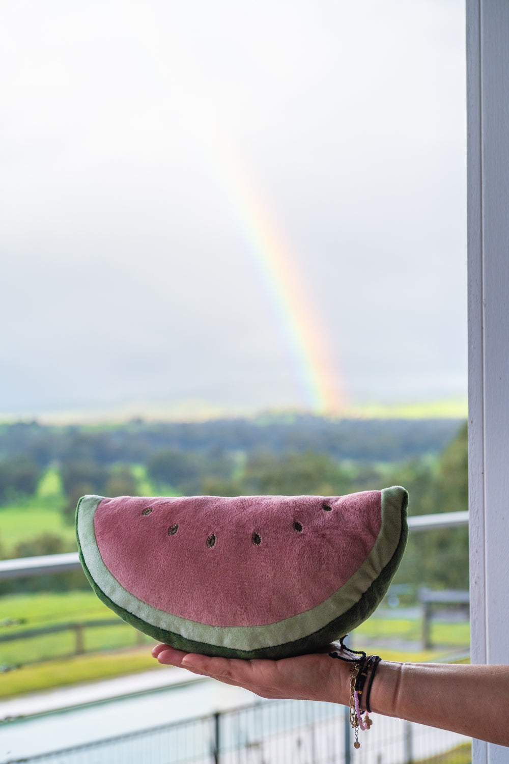 Winnie Watermelon - The Joyful Friend - NanaHuchy