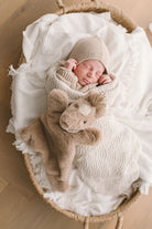 A grow set of Harvey the Horse - Nana Huchy