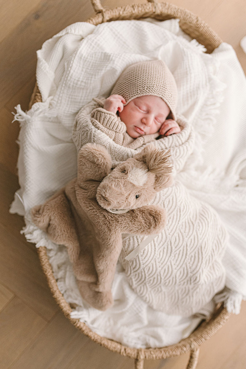 A grow set of Harvey the Horse - Nana Huchy