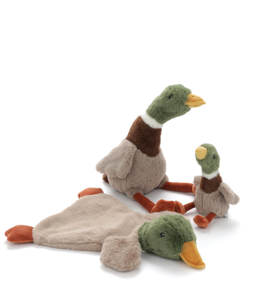 A grow set of Hugo the Duck - Nana Huchy