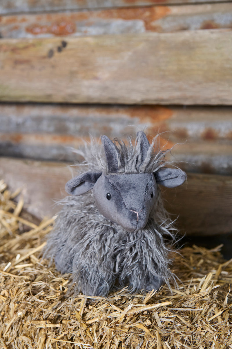 Aiden the Angora Goat - NanaHuchy