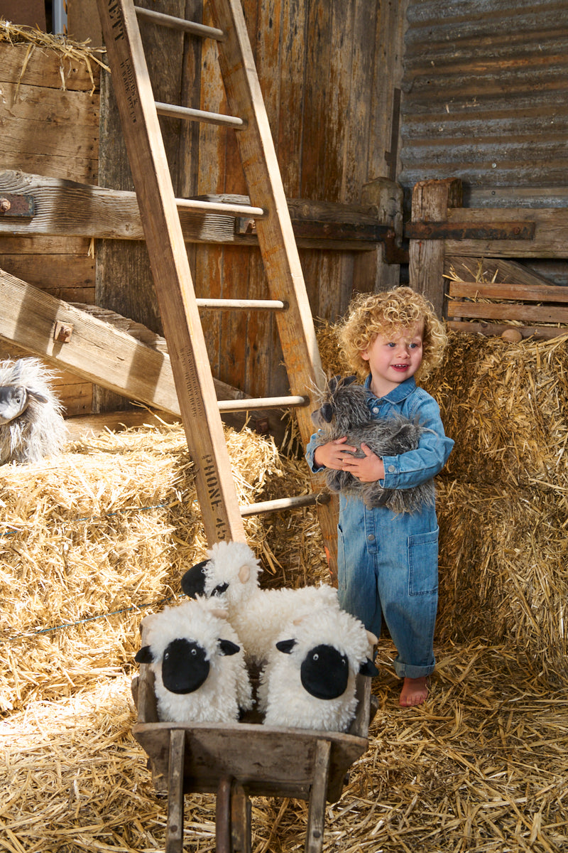 Aiden the Angora Goat - NanaHuchy