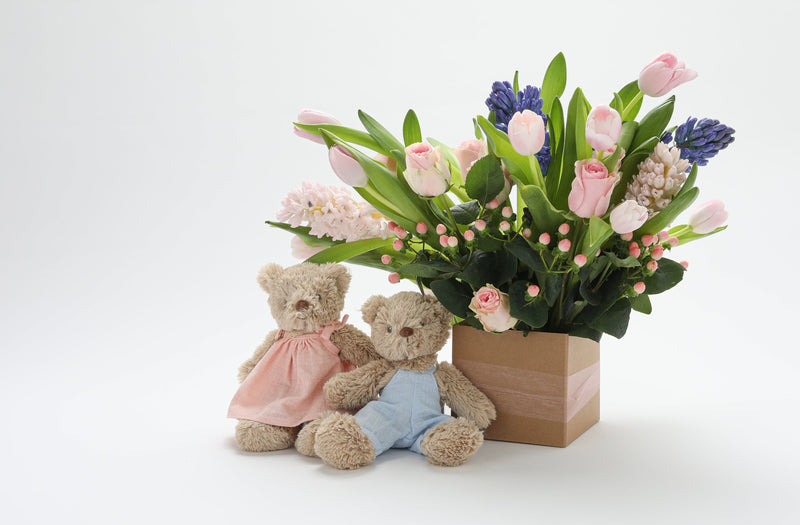 Baby Honey Bear - Dress Baby Blue - NanaHuchy