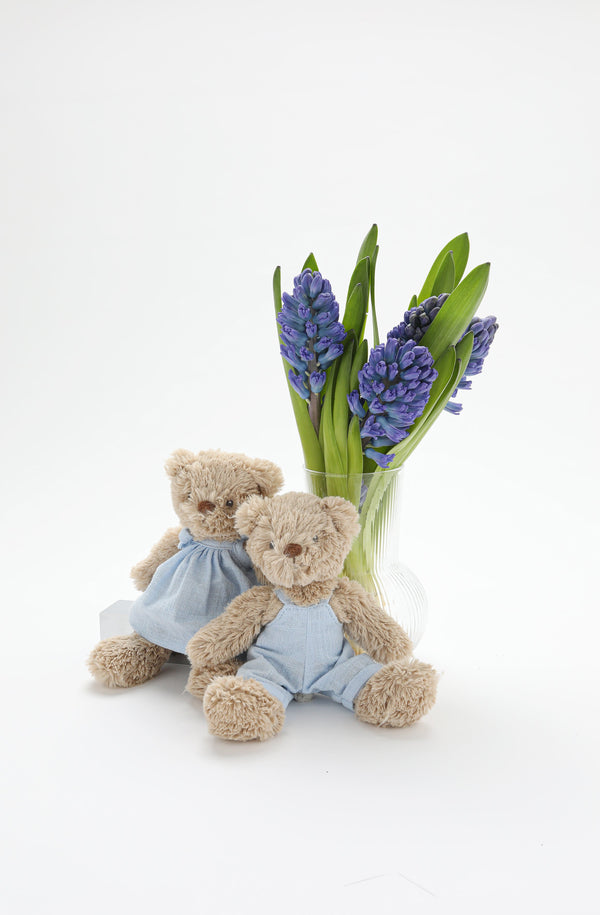 Baby Honey Bear - Dress Baby Blue - NanaHuchy