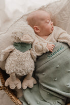 Bill the Duck - Nana Huchy