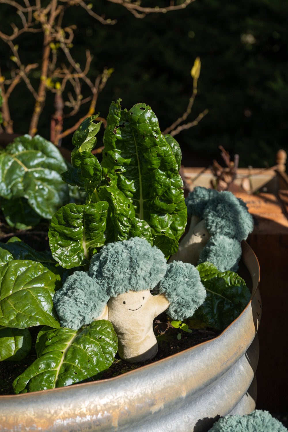 Bo Broccoli - The Green Friend - NanaHuchy