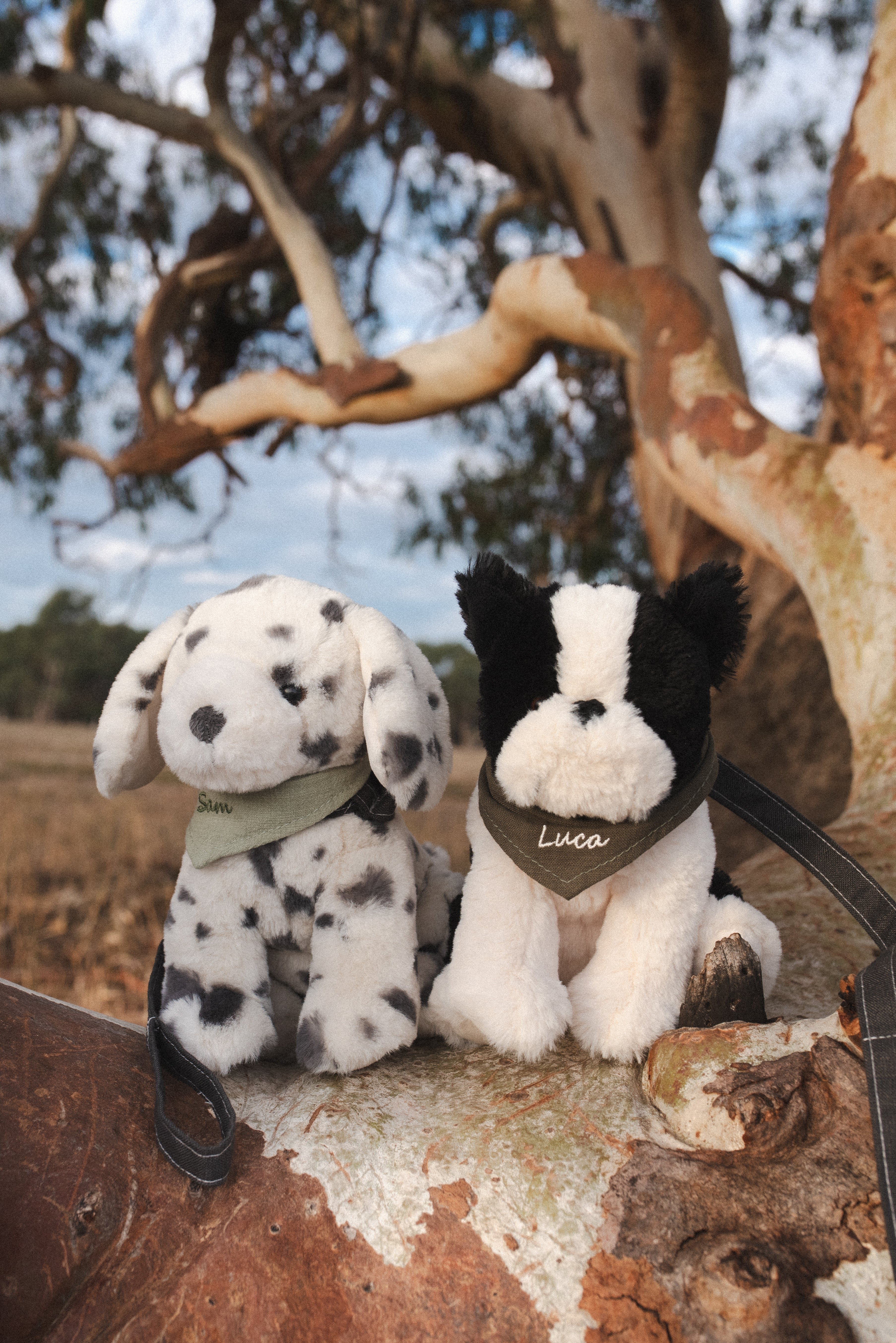 Bruce & Debbie the Dogs Set - Nana Huchy