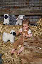 Charlotte the Sheep - Cream - Nana Huchy