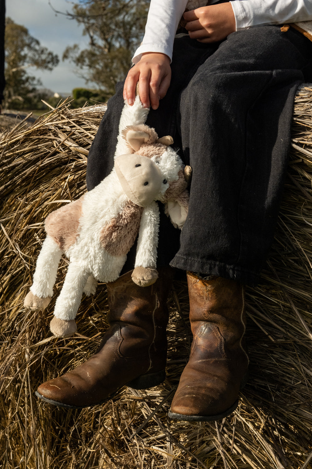 Clover Cow Double Trouble - Nana Huchy