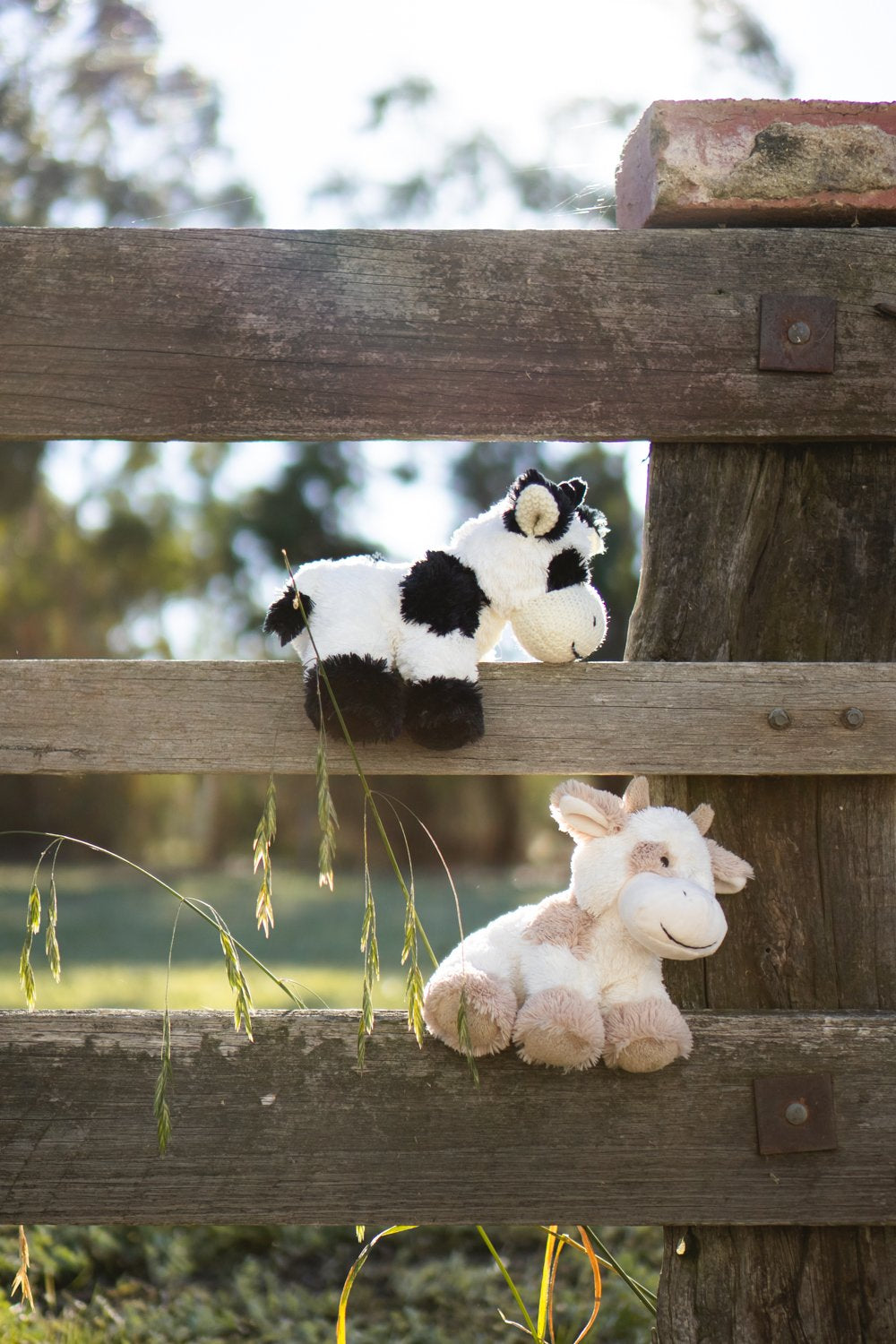 Coco The Cow-Black - Nana Huchy