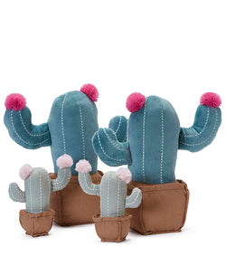 Cool Cacti Bundle - Nana Huchy