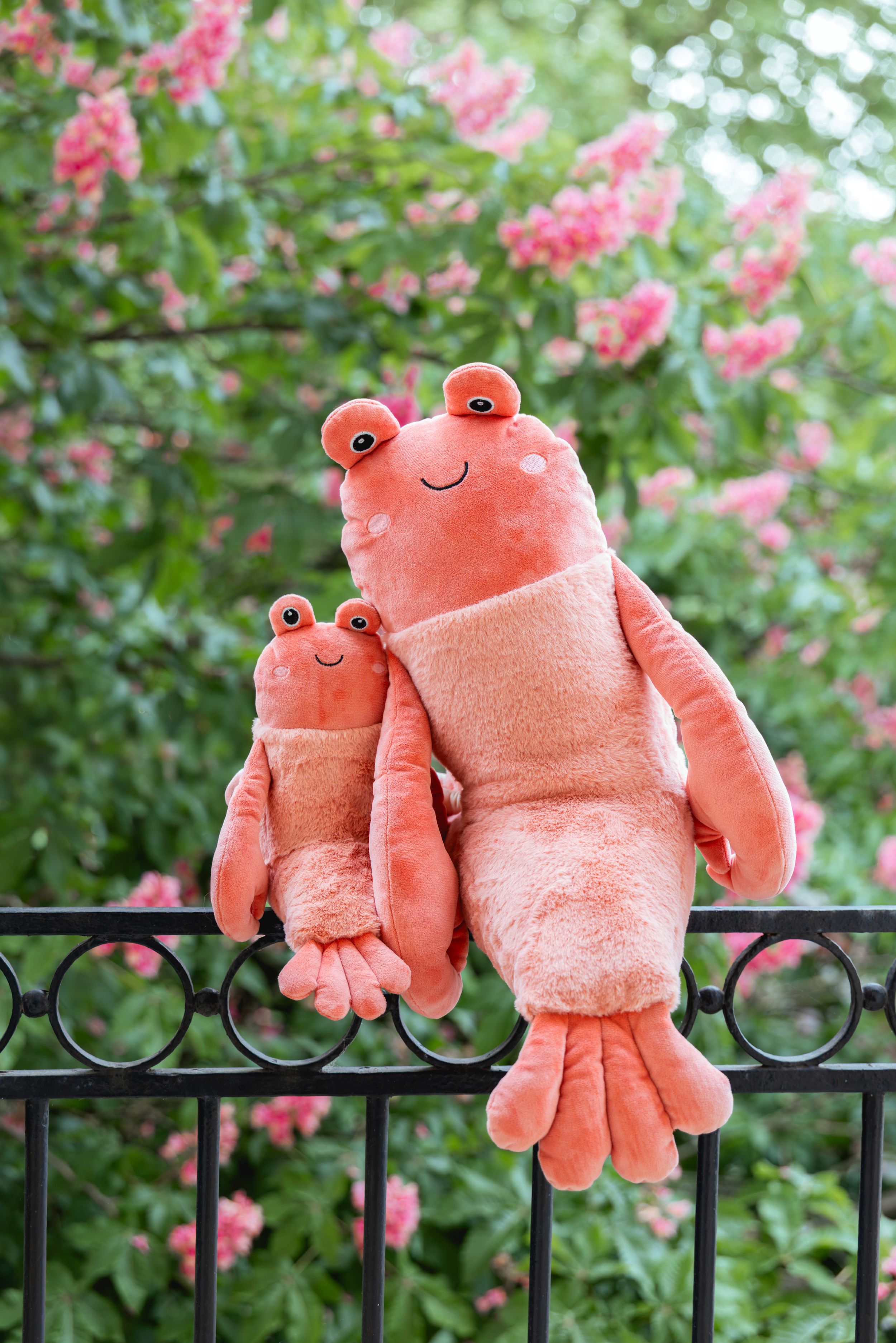 Craig the Crayfish - NanaHuchy