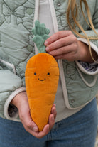 Curtis Carrot - The Caring Friend - NanaHuchy