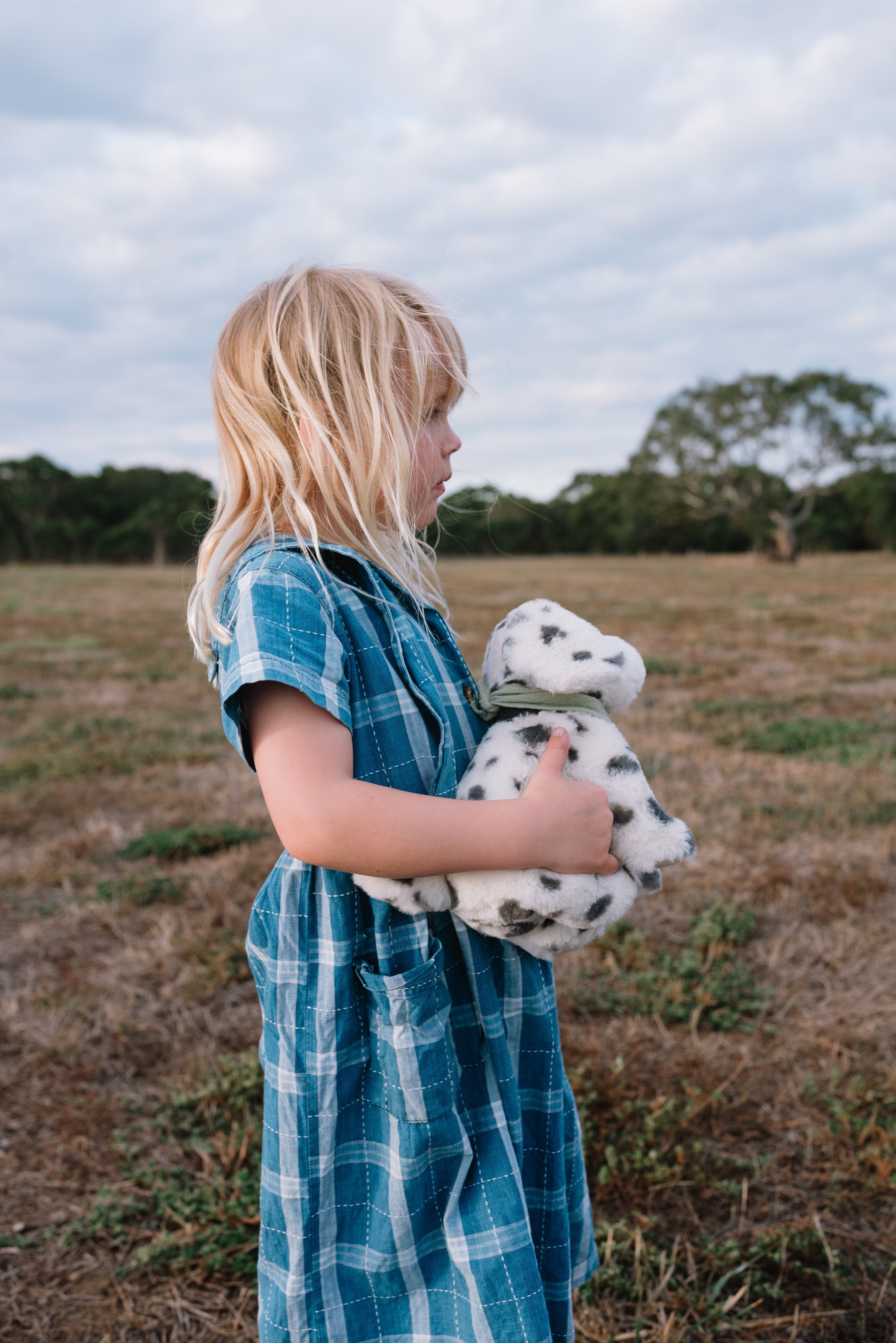 Debbie the Dalmation - NanaHuchy