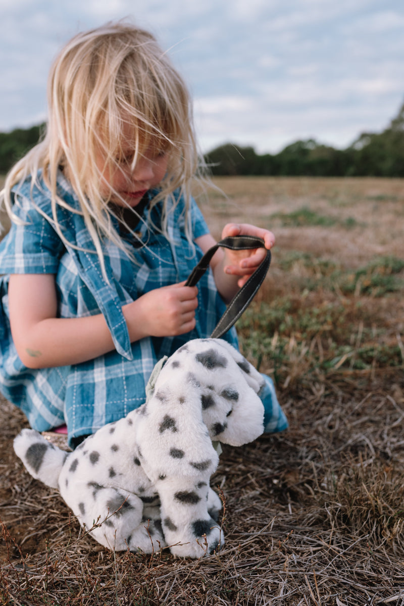 Debbie the Dalmation - NanaHuchy