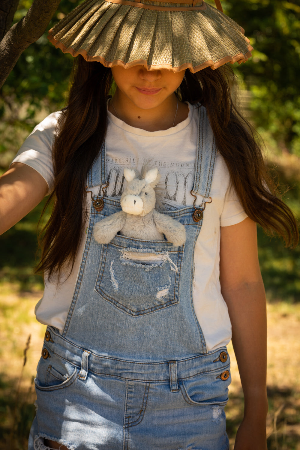 Diego the Donkey Rattle - Nana Huchy