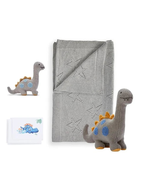 Dinky Dino Baby Bundle - Nana Huchy