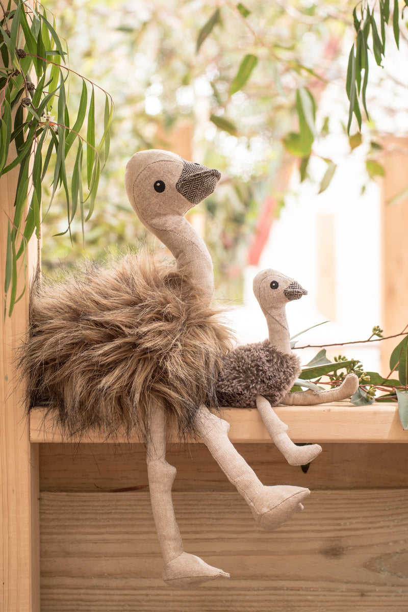 Eddie the Emu Gift Pack - Nana Huchy