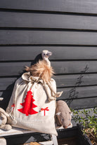 Eddie the Emu - Nana Huchy