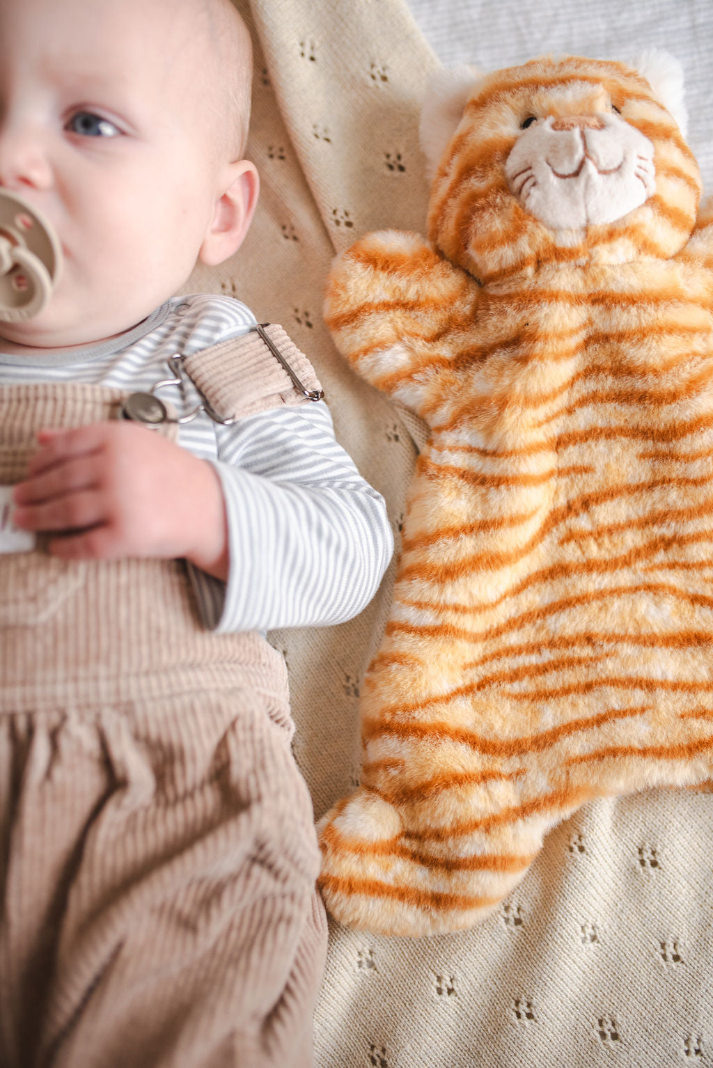 Forever Friend Cat Set - Ginger - Nana Huchy