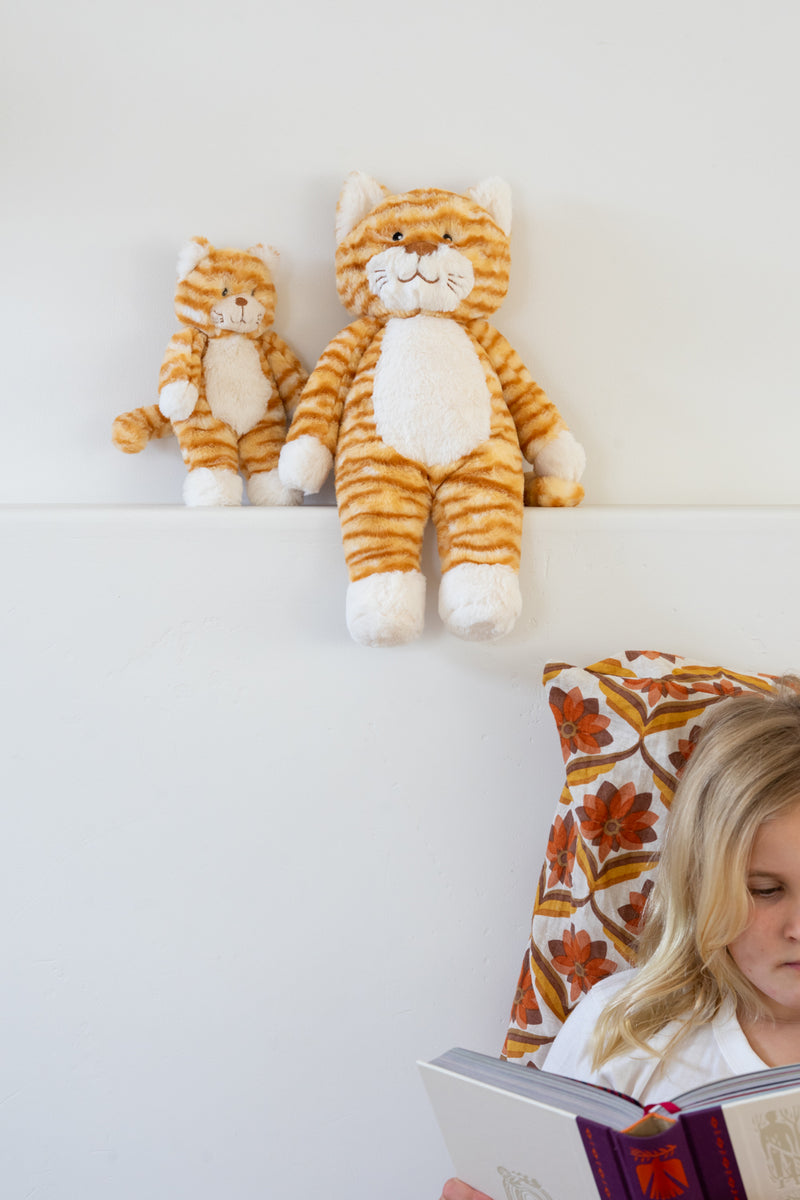Ginger the Cat & Kitten - Nana Huchy