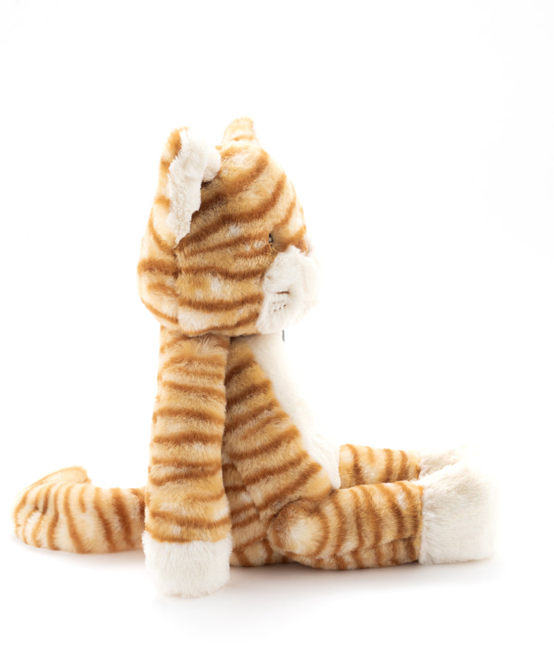Ginger the Cat - NanaHuchy