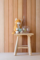 Ginger the Cat - NanaHuchy